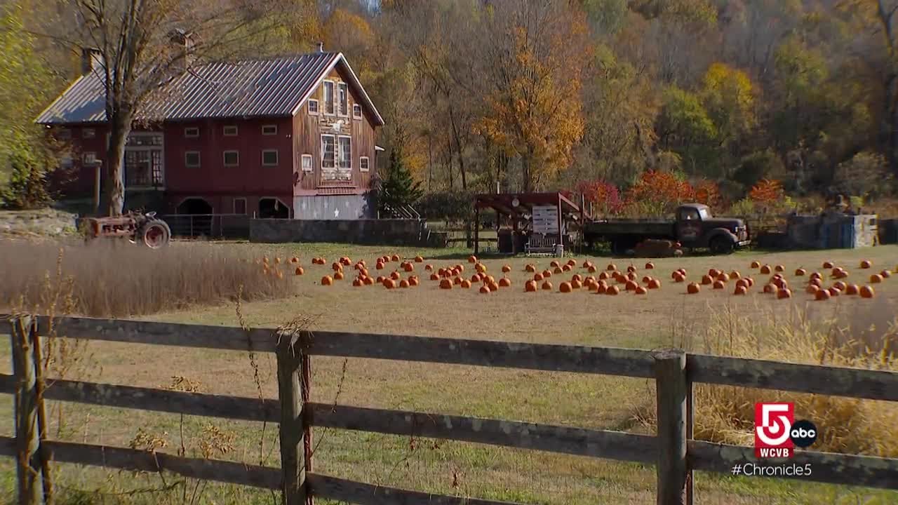 Kent, Connecticut is colorful and cosmopolitan
