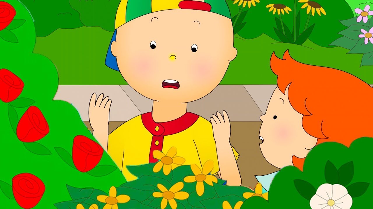 Caillou et le Jardin Botanique | Caillou en Français