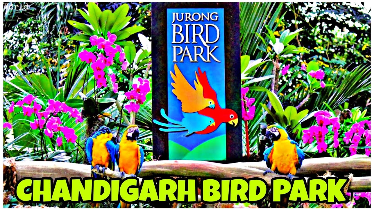CHANDIGARH BIRD PARK | Famous place in Chandigarh