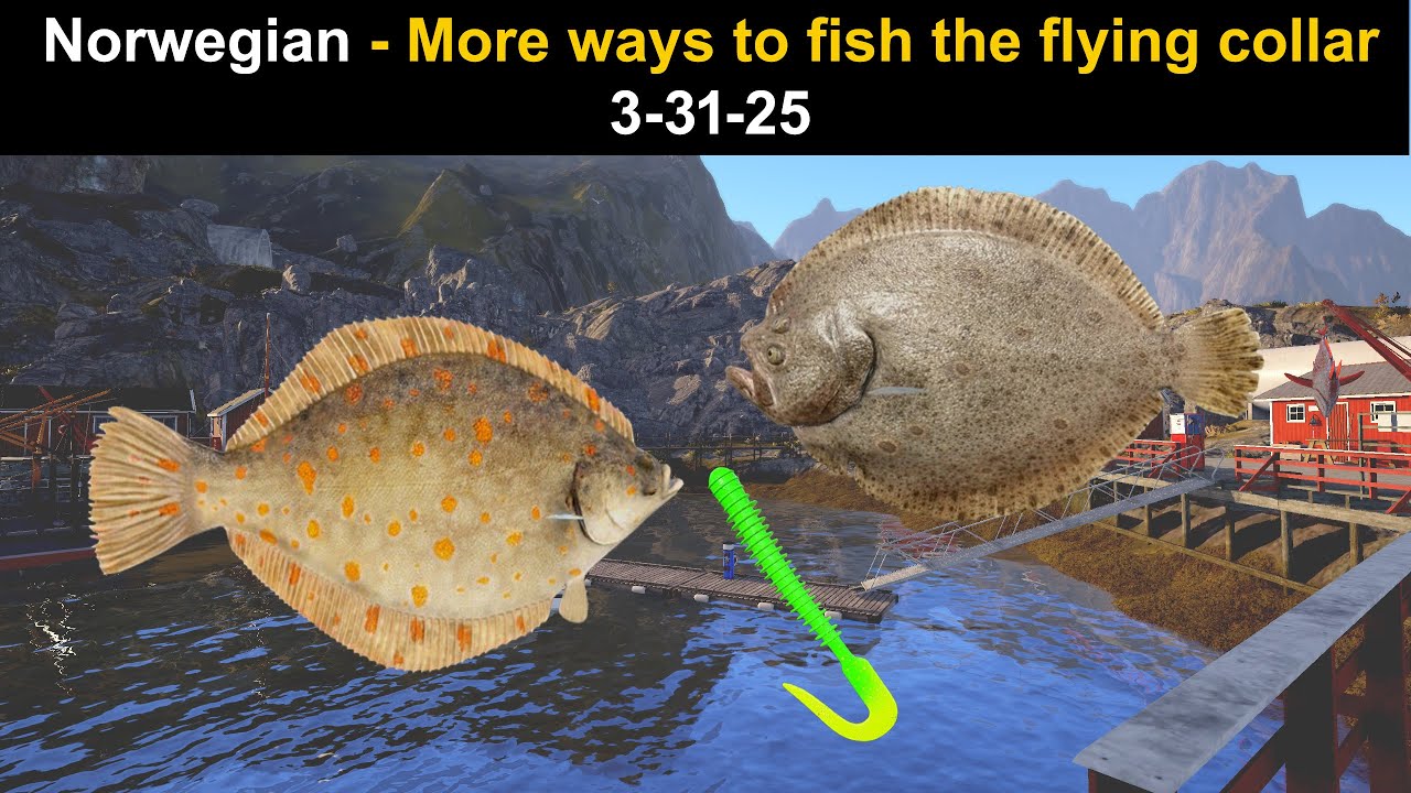 Russian Fishing 4, Norwegian - More ways to fish the flying collar rig 3-31-25