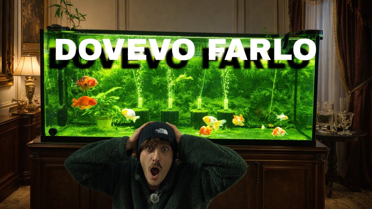 Questo ACQUARIO NON poteva più ASPETTARE🐟 