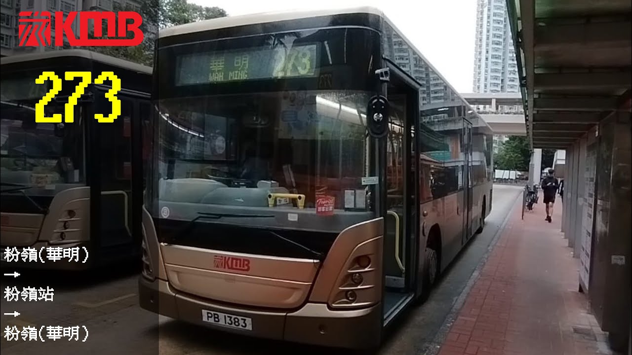 極速巴士旅程第262集[粉嶺南接駁東鐵綫] KMB 273 粉嶺(華明)↺粉嶺站