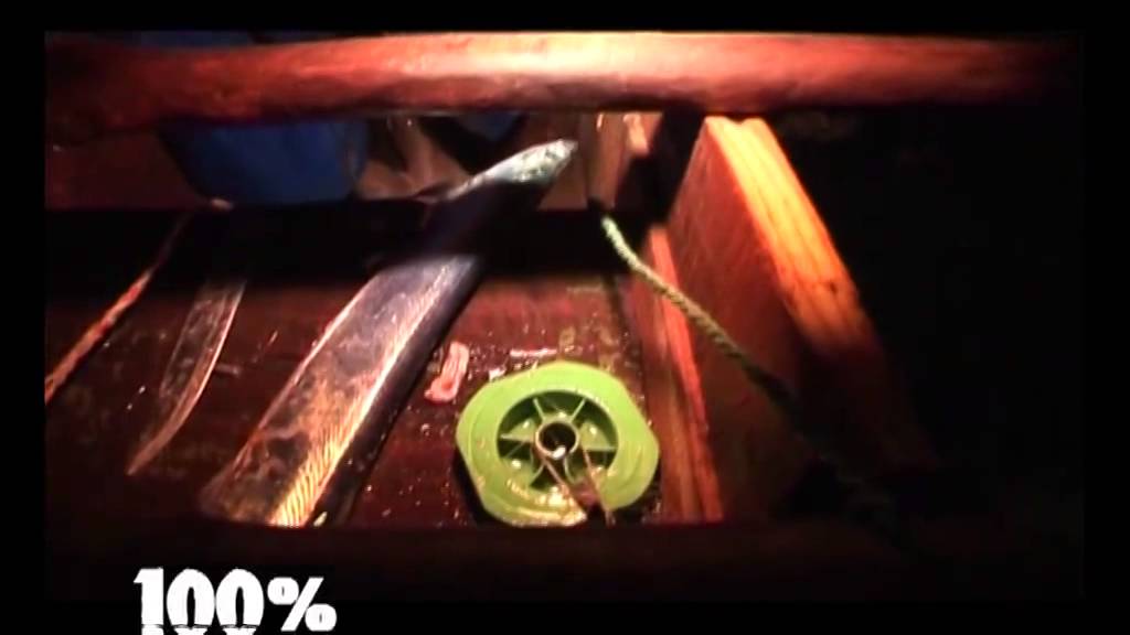 100% MAYOTTE_Umadi pêche de nuit