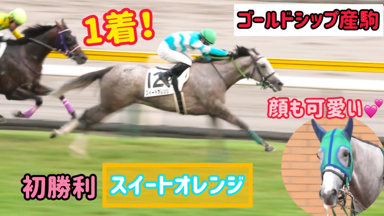【ゴールドシップ産駒】道中早めに動いて初勝利をゲット🎉顔も父譲りの甘いフェイス💕スイートオレンジ🍊