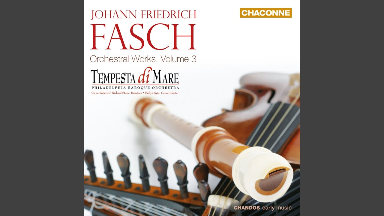 Lute Concerto in D Minor, FWV L: d1: III. Un poco allegro