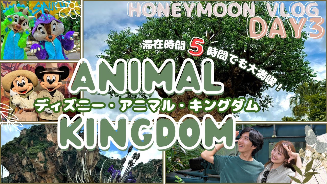 【半日で満喫/アニマルキングダム】フロリダのWDWに行ってみたvlog #3【ハロウィン】Walt Disney World 2024