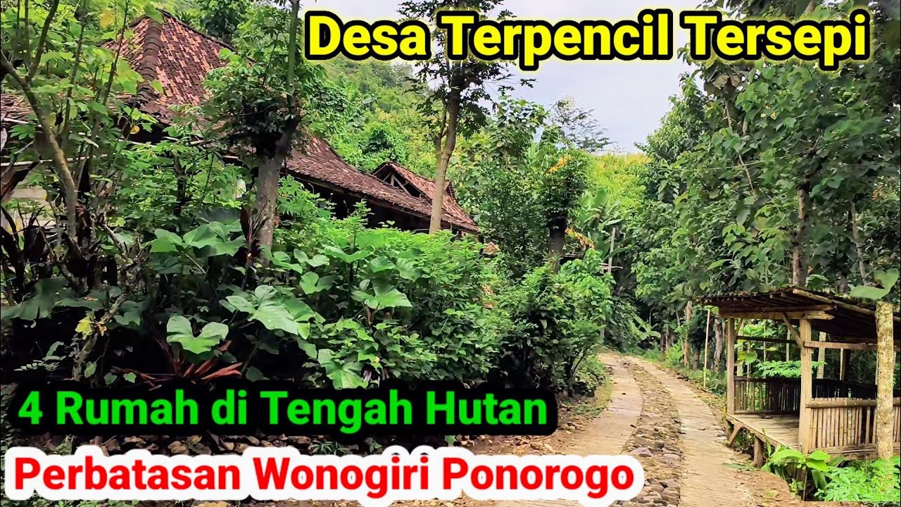 Desa Terpencil Tersepi di Hutan Perbatasan Ponorogo Wonogiri