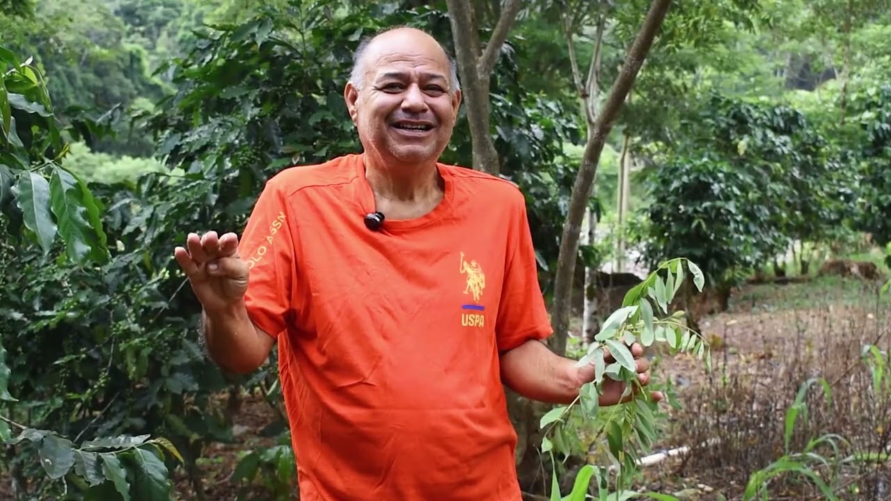 Don Claudio: café, permacultura y adaptación al cambio climático