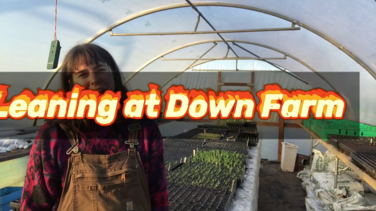 Winter Leaning 2020 at Down Farm