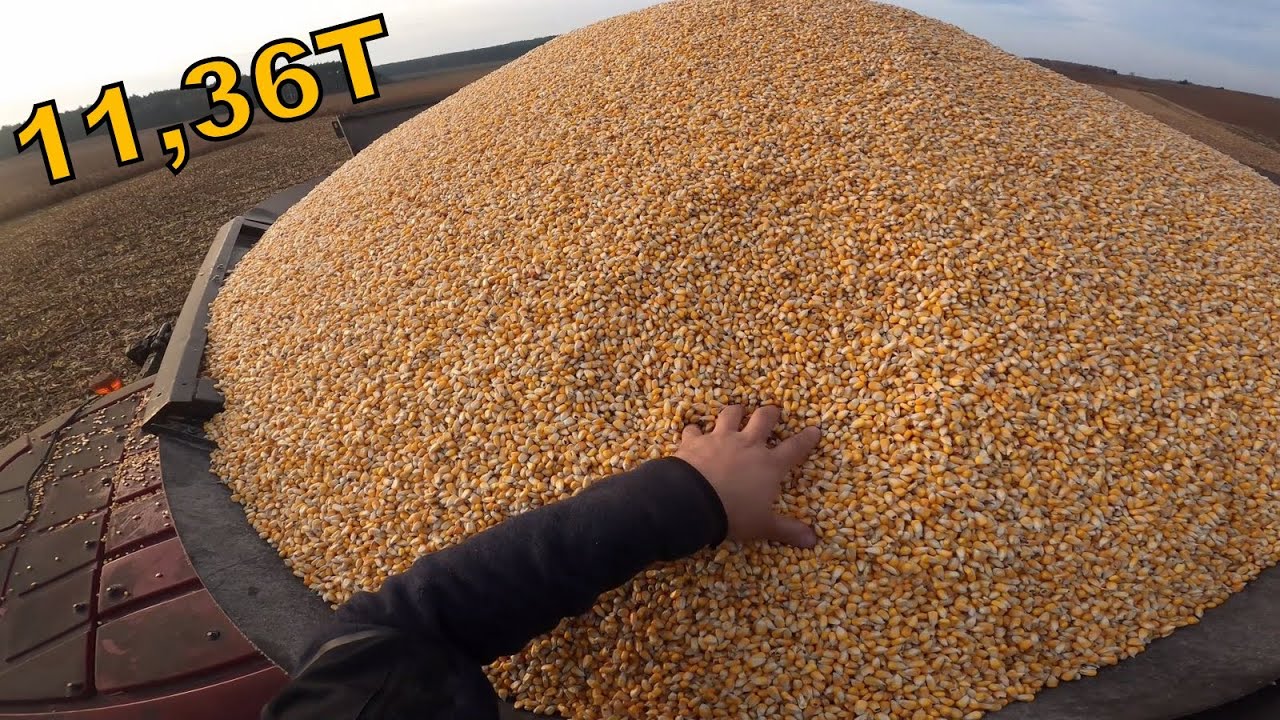 Mój Piachuder Pobił Rekord! Test Case Magnum 310 vs TopDown 500