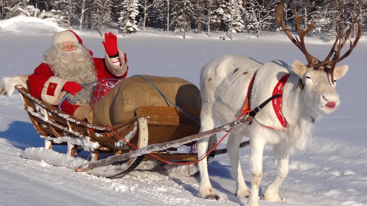 Les secrets des rennes du Père Noel en Laponie 🦌🎅 vidéo de Papá Noël pour les enfants Santa Claus