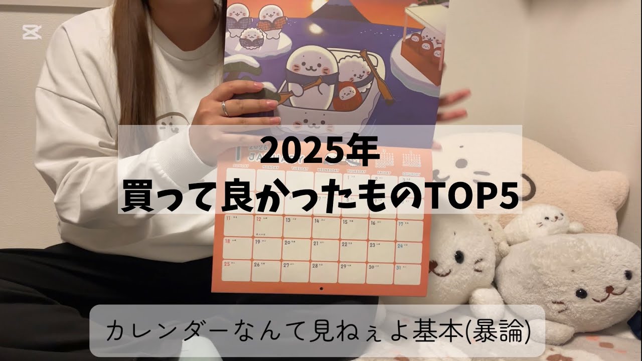 ベストバイ発表ドラゴンが2025年しろたんベストバイTOP5を発表します【しろたん以外も含む】