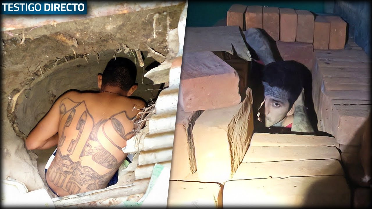 Así se esconden los pandilleros de el Salvador para evitar ser capturados en 2022 - Testigo Directo