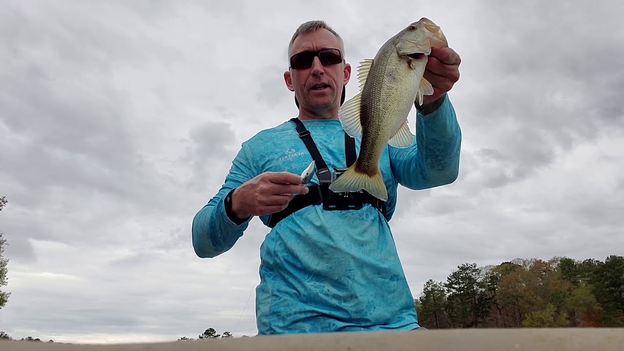 Fall Bass on West Point Lake. Thanksgiving 2020