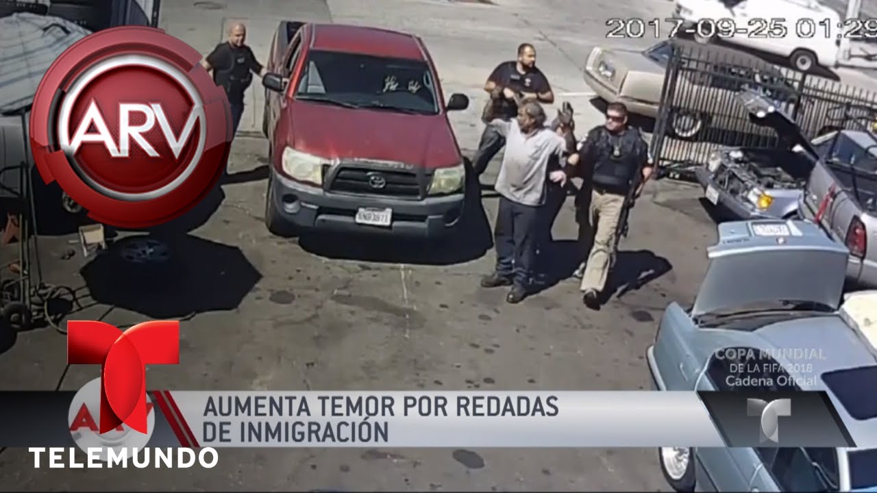 Demandan a ICE por abuso durante redada en taller | Al Rojo Vivo | Telemundo