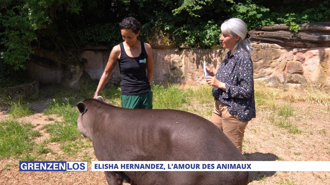 Grenzenlos : le zoo de Sarrebruck