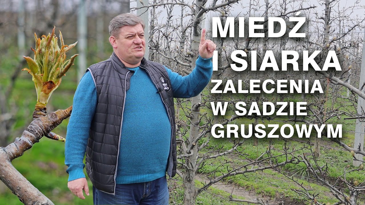 Czas na miedź i siarkę w sadzie gruszowym cz. 1 - Zbigniew Marek