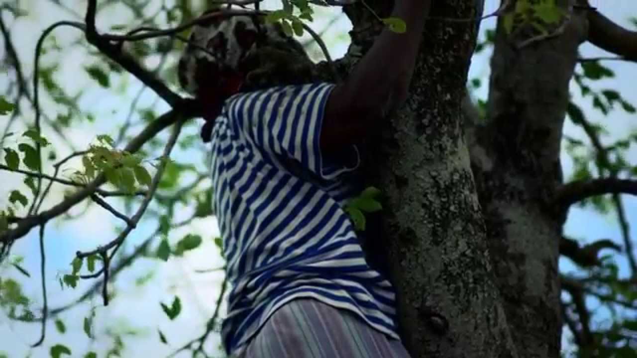 I Shouldn't Be Alive (Limpopo)