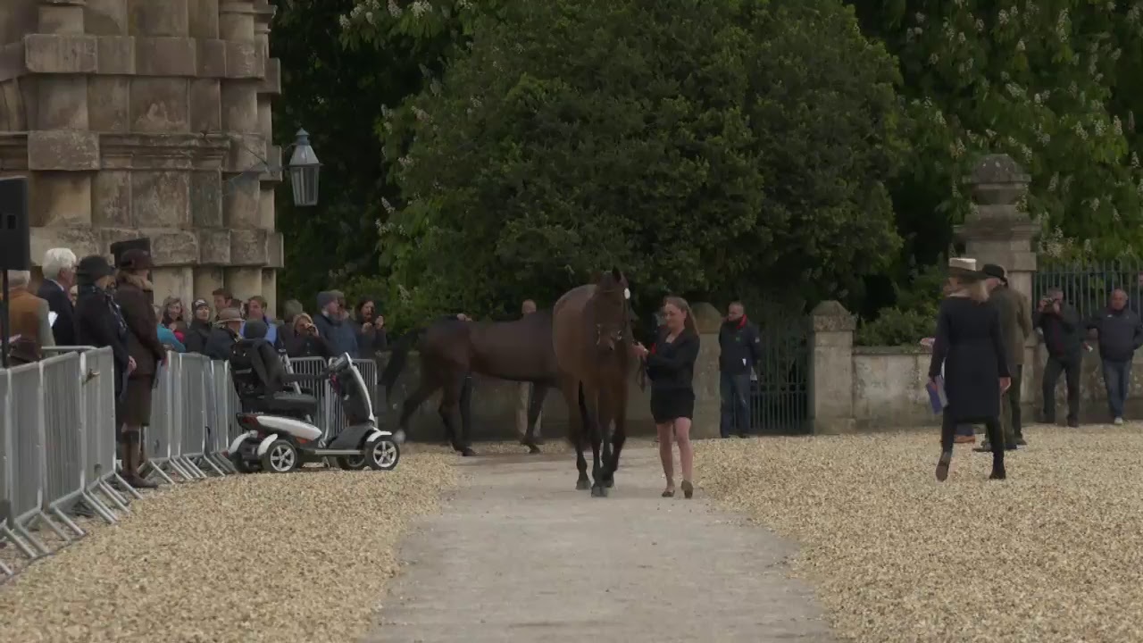 Wednesday #MMBHT First Horse Inspection 2017