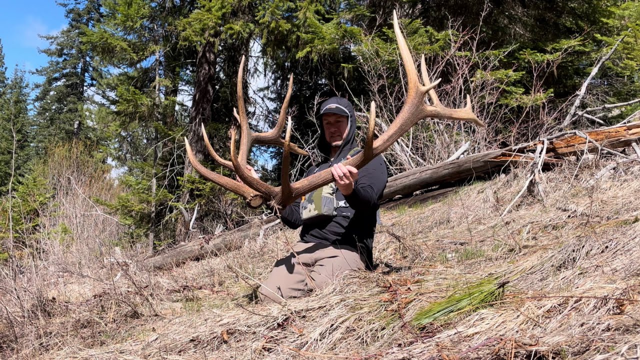 HUGE BROWN ELK SHEDS!!! 380