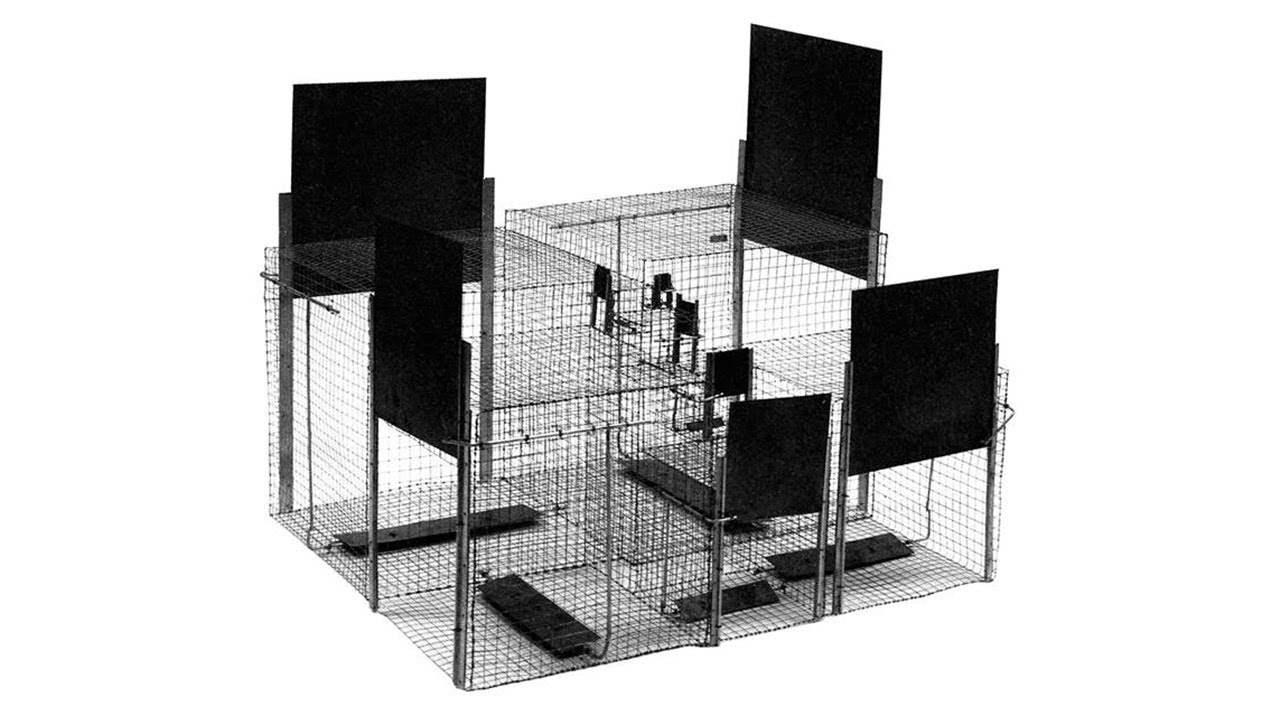 New Rationalism: The Shape of Systems to Come