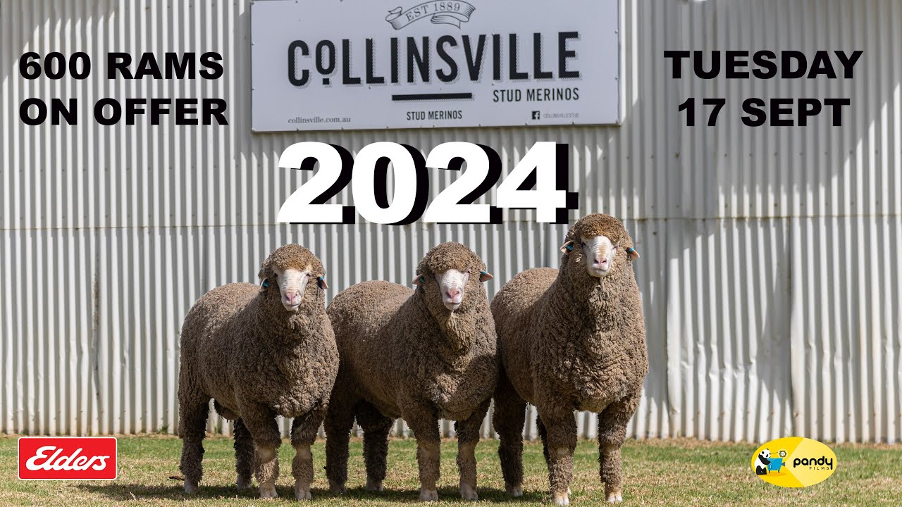 Collinsville 2024 On Property Sale Preview