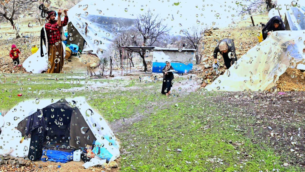 Hard Nomadic Life on a Rainy Day | Struggles of Tribal Family in the Mountains 🌧️⛰️