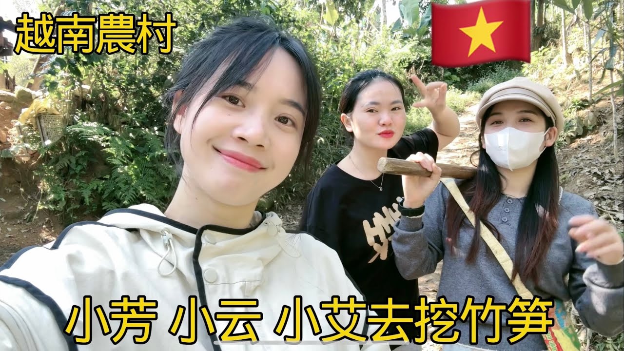 🇻🇳越南農村生活-初五小芳跟同學去挖竹筍#越南女孩 #越南農村 #越南姑娘 