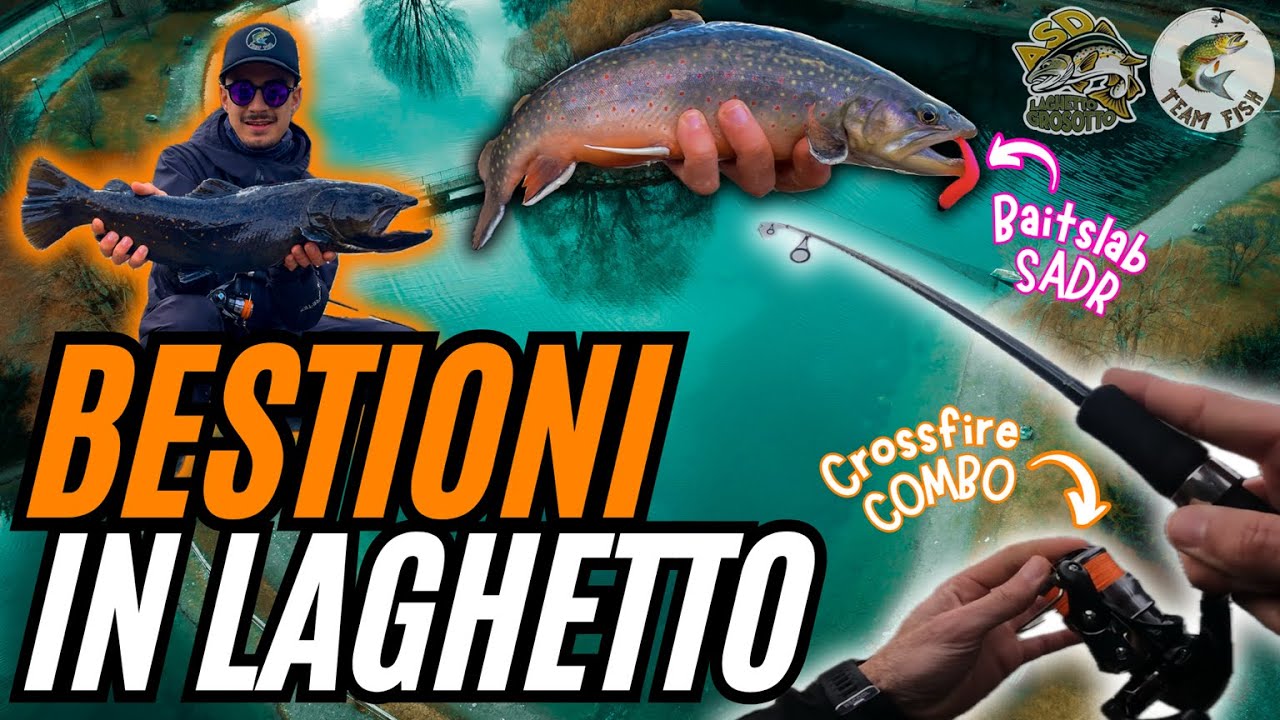 Veri MOSTRI di LAGO | Pesca con la GOMMA in LAGHETTO!