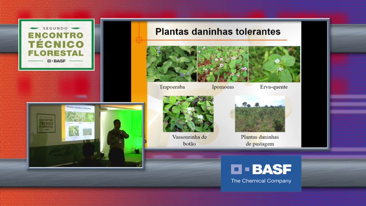 RESISTÊNCIA DE PLANTAS DANINHAS AO HERBICIDA