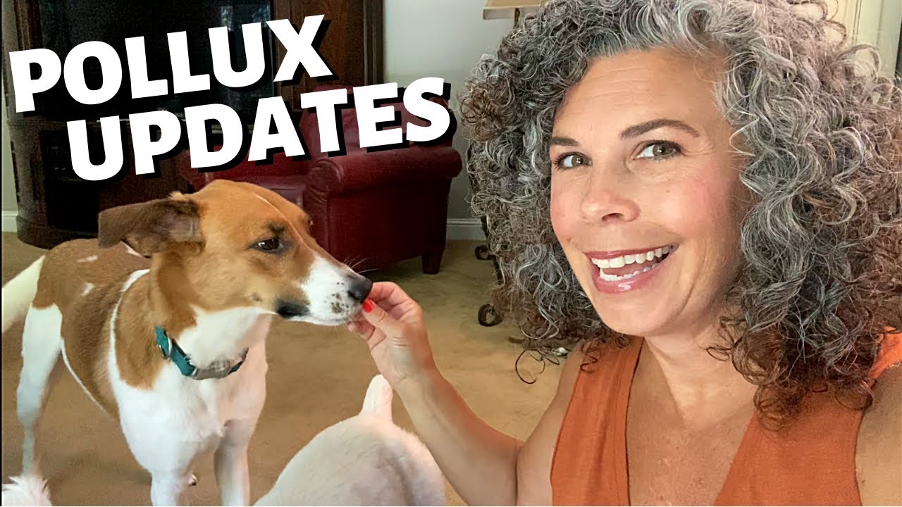 POLLUX UPDATES & Things You NEVER Get To See
