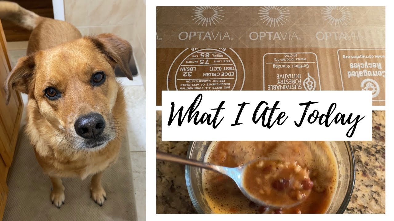 OPTAVIA NEW FUELING HACK, WHAT I ATE TODAY AND PAISLEY UPDATE
