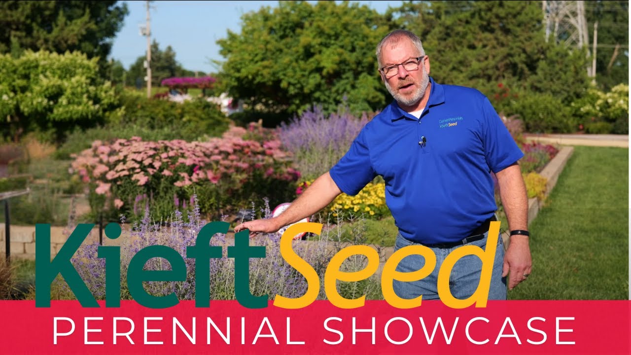 Kieft Seed Perennial Showcase in The Gardens at Ball 2023