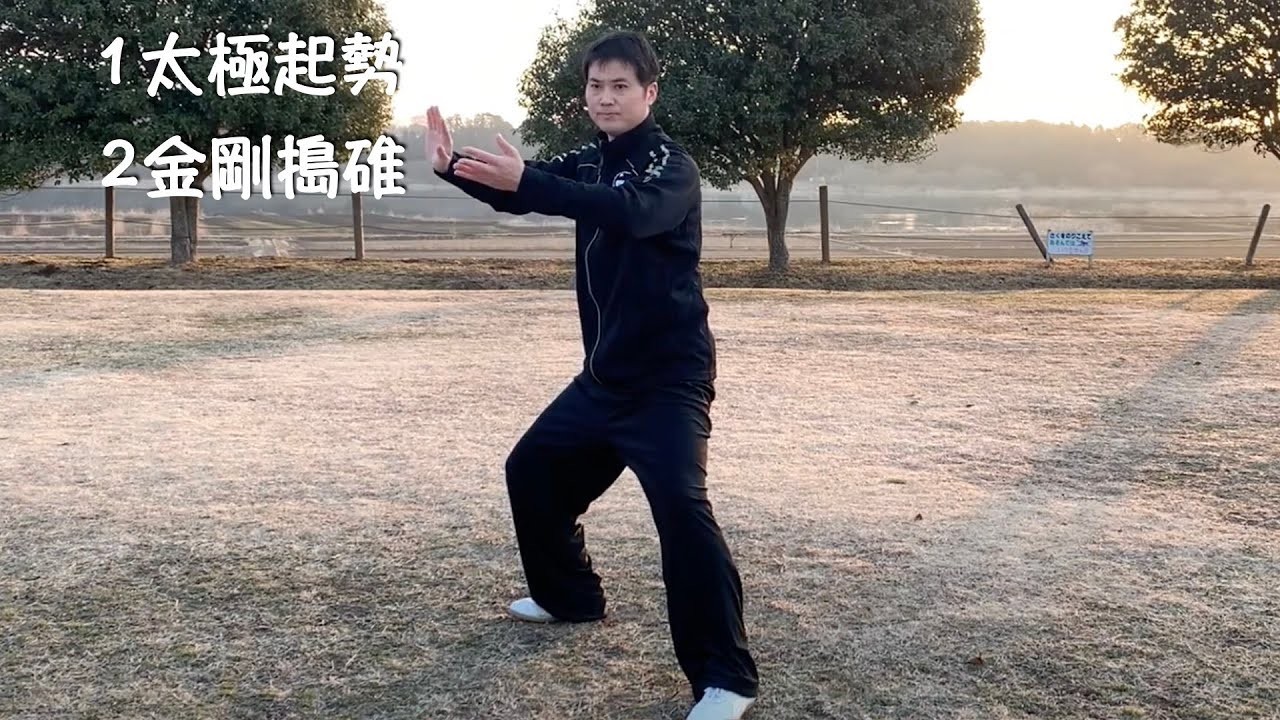 【陳式太極拳老架一路】第一式太極起勢第二式金剛搗碓laojiayilu  | TaijiShuren太極修練