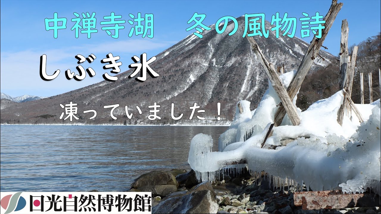 中禅寺湖　冬の風物詩「しぶき氷」を観察しよう！＜2025年2月12日＞【奥日光自然情報】