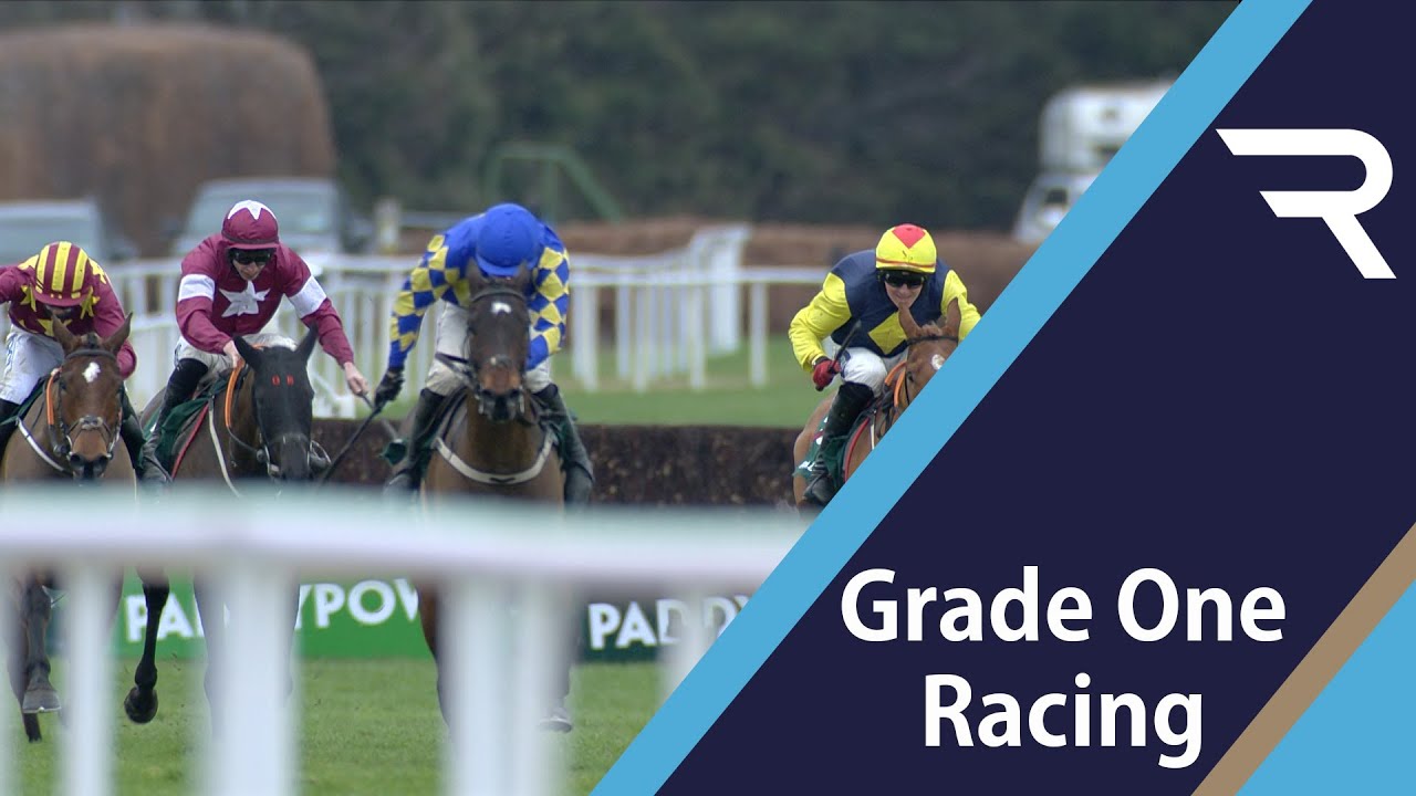 Kemboy stamps his class on the 2021 Paddy Power Irish Gold Cup - Dublin Racing Festival - Racing TV