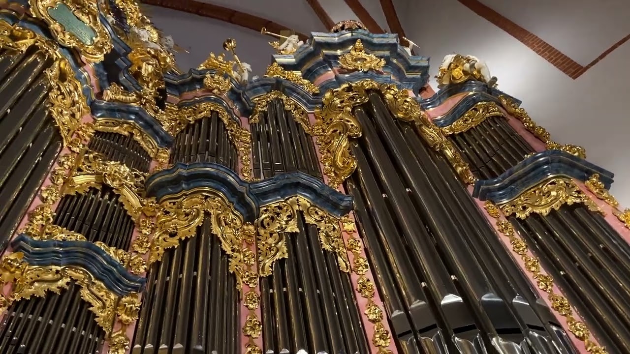 Organy Michaela Englera - Bazylika św. Elżbiety we Wrocławiu
