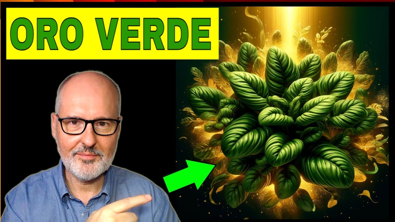 El ORO VERDE que FORTALECE tu CORAZÓN, OJOS y HUESOS