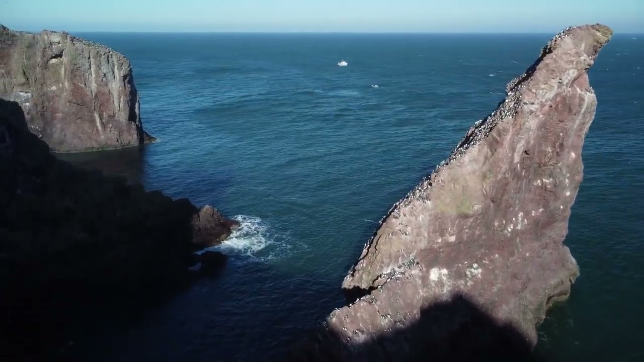 St. Abbs Nature reserve in Scotland