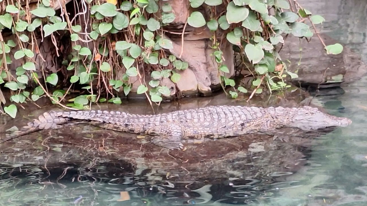 22 02 2025 Hagenbecks Tierpark Tropenaquarium Wanderung