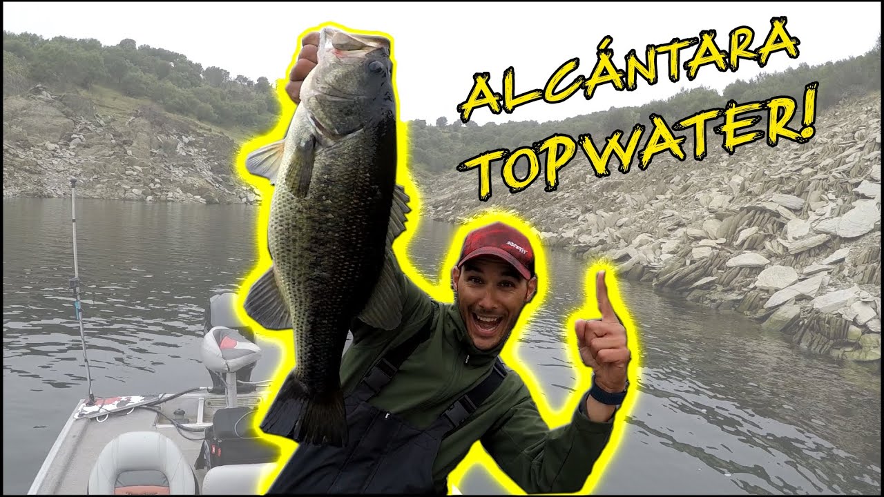 Me PARTE un gran BASS | Pesca del Black bass en SUPERFICIE (TOPWATER)