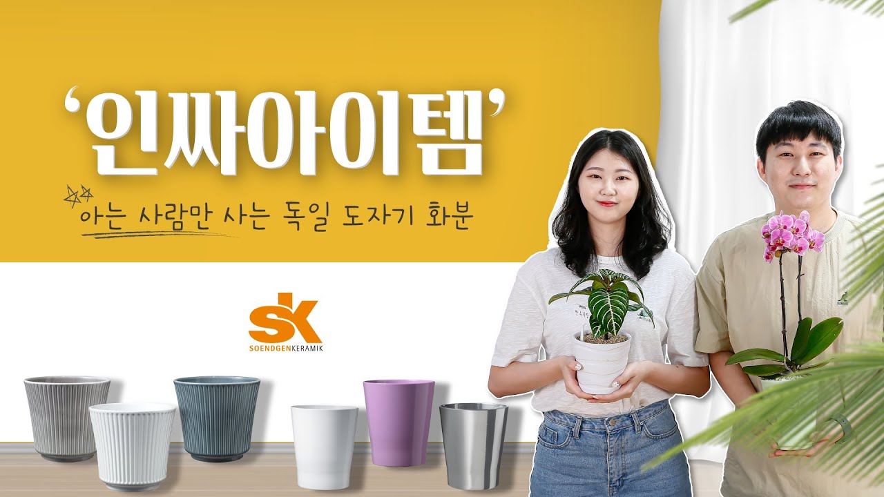 아는사람만 몰래사는🤩 인싸아이템 독일 도자기화분 (S.K 세라믹 화분)