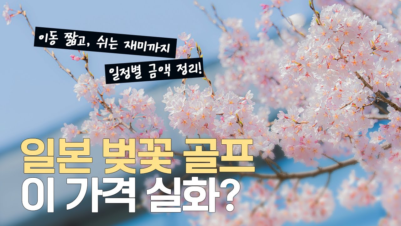3월 말~4월, 일본 벚꽃 골프 제대로 고르는 법 (2026 최신)｜지역별 5+1곳 정리🌸