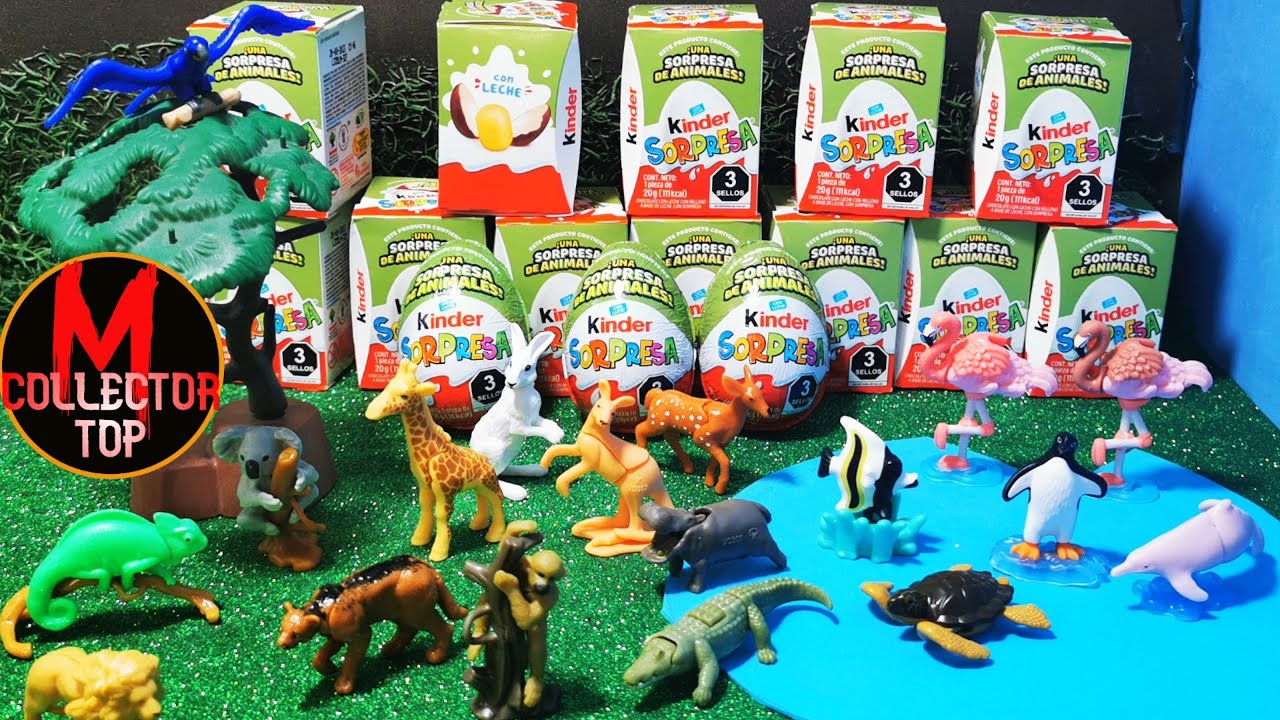 Abriendo 15 Kinder Sorpresa de Animales Buscando al 