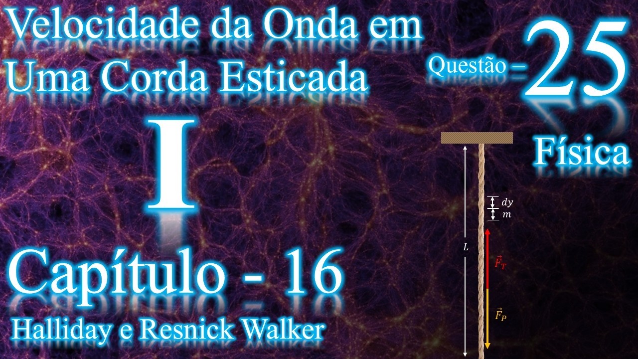 Questão 25 - Capítulo 16 - Física (Ondas I)