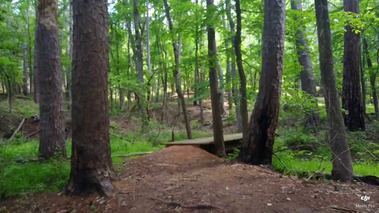 The Piney Woods Ultra