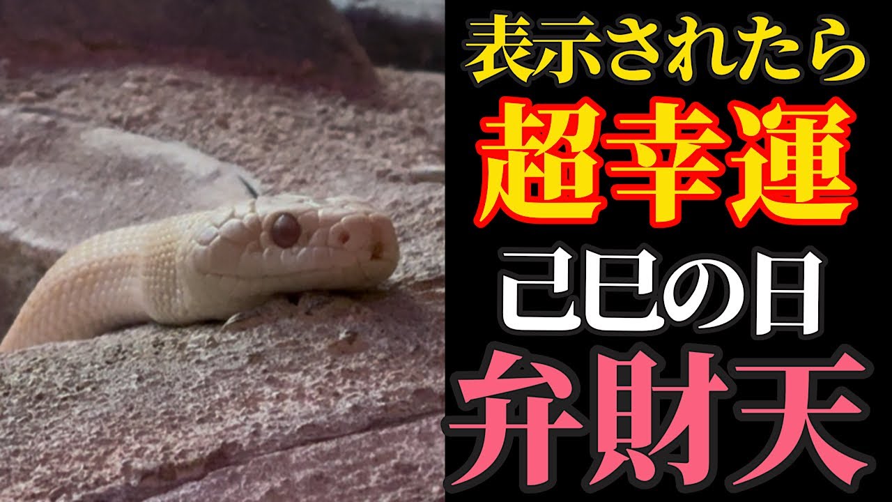 巳年×己巳の日×一粒万倍日 貴重な吉日です！弁財天さまにリモート参拝【白蛇神社】パワースポット