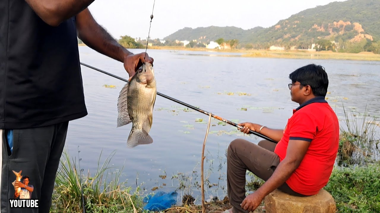 👌What a Awesome singing hook fishing 💯 7 kg singapore தேளி, big size ஜிலேபி,Carp fishes/vol-103🔥👍