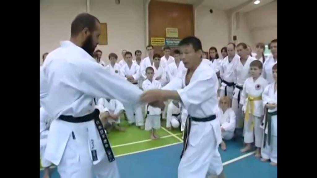 What makes Karate KWF so particular