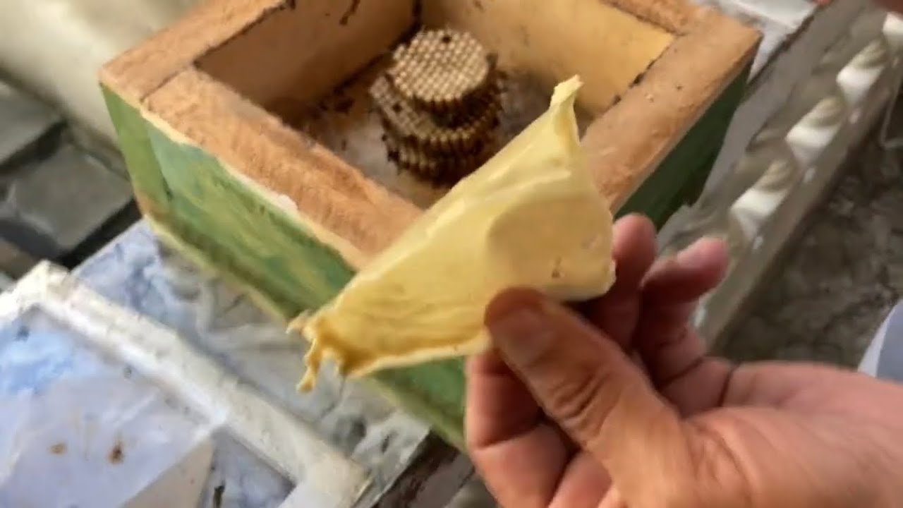 Divisão Abelhas Nativas(mandaçaia-MQA), por etapas!
